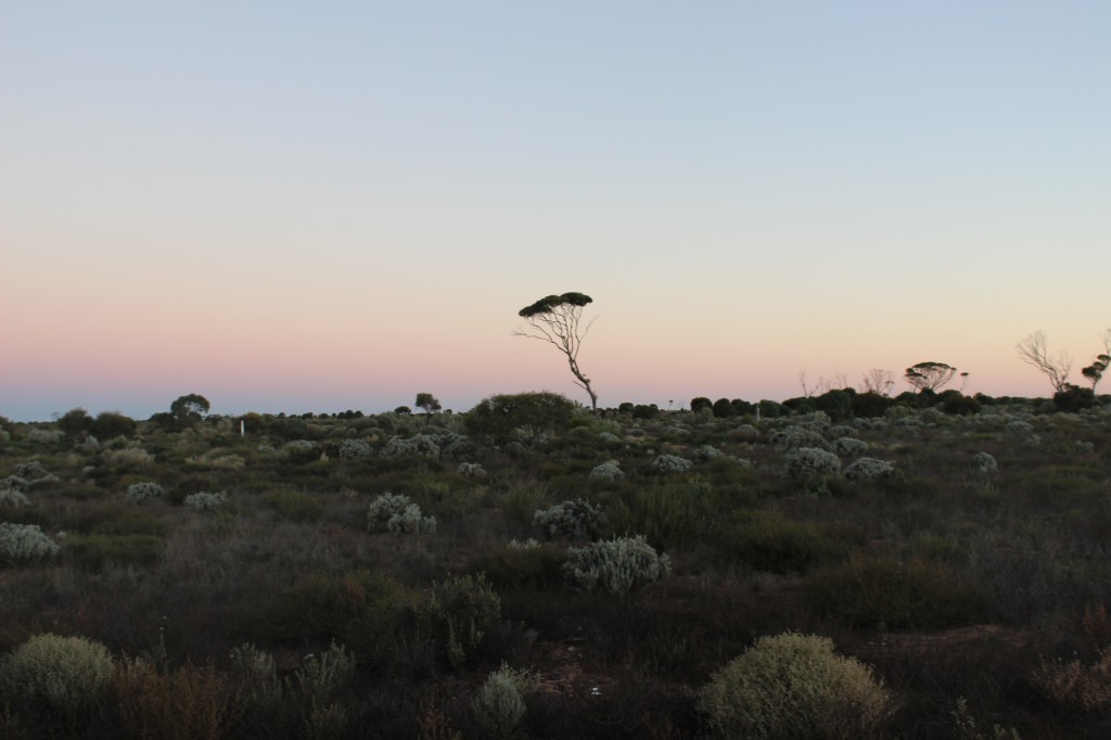 Sunset over the Nullarbor Plain