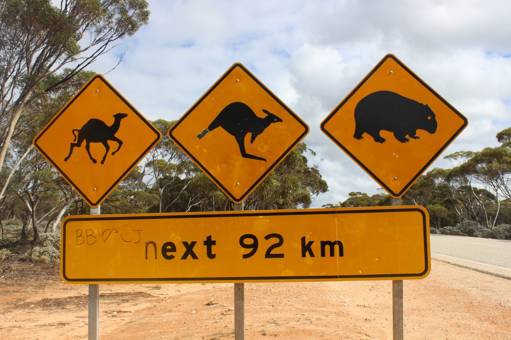 Road Sign on the Eyre Highway