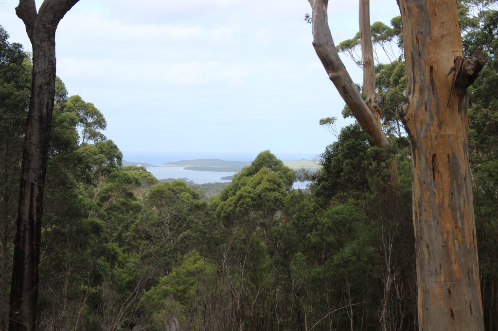 Views over Nornalup Inlet, Walpole