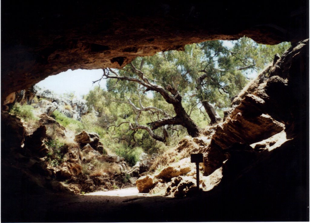 Stockyard Gully Cave