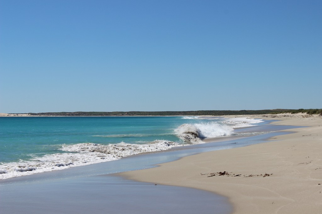 One of the beautiful beaches near Coral Bay