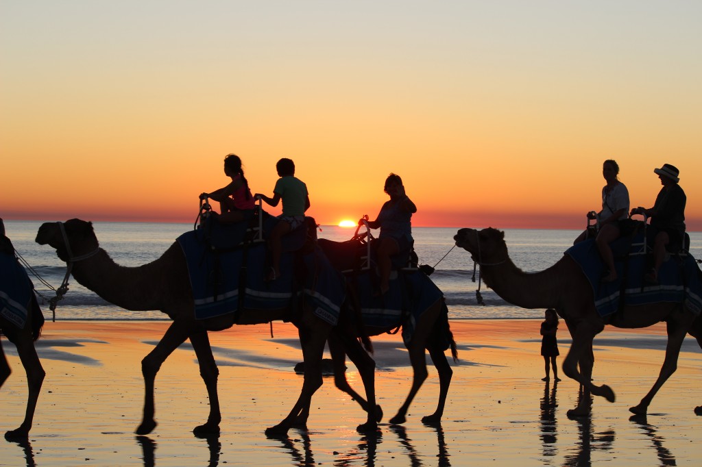 Camel Ride at Sunset, Broome