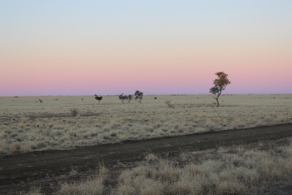 Pink Skies in the Arid Outback