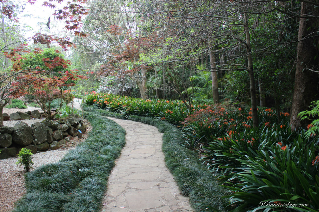 Mt Tamborine Botanical Gardens