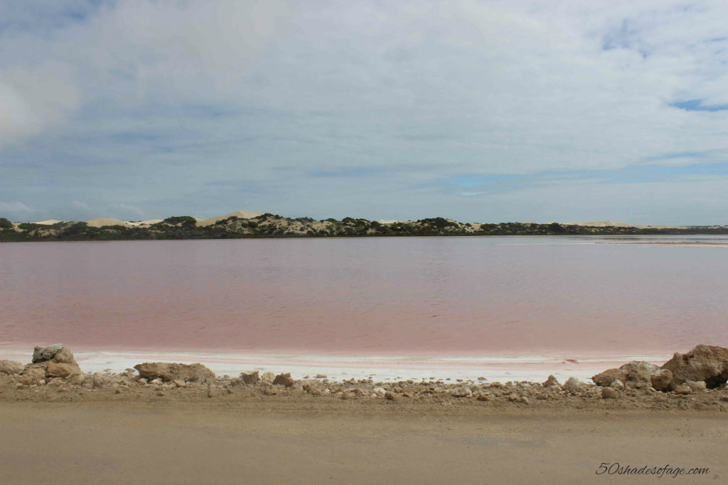 Pink Hues of Lake McDonnell, Penong