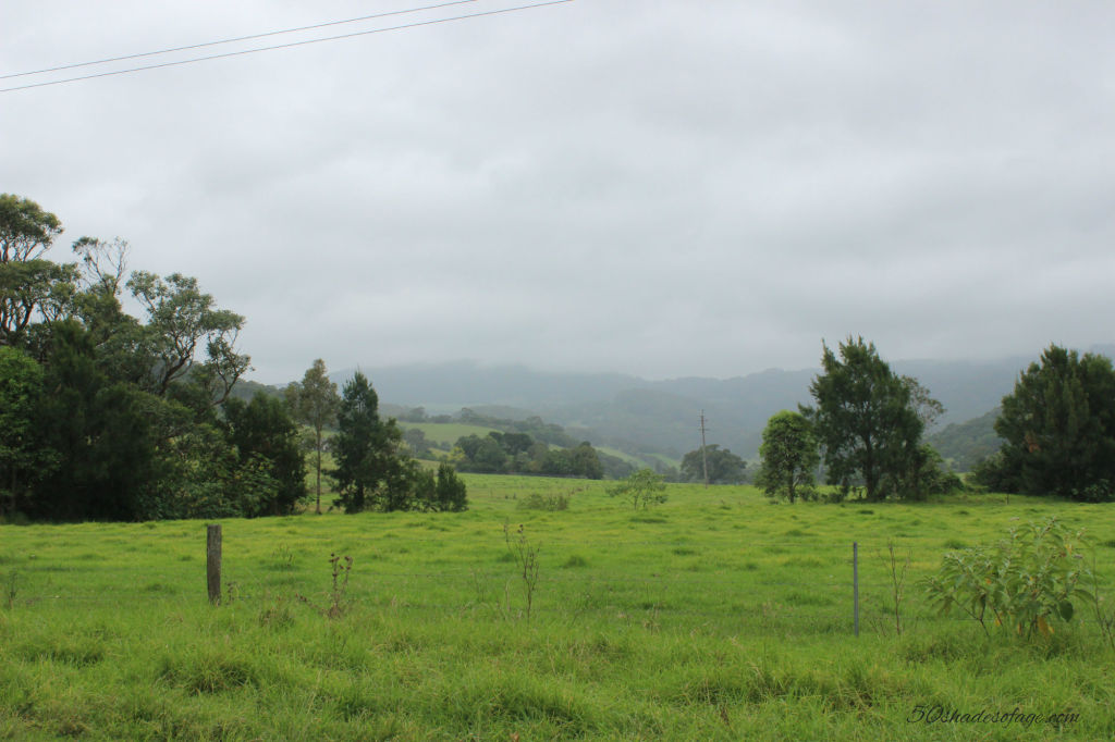Lush Green Countryside at Jamberoo (near Kiama)