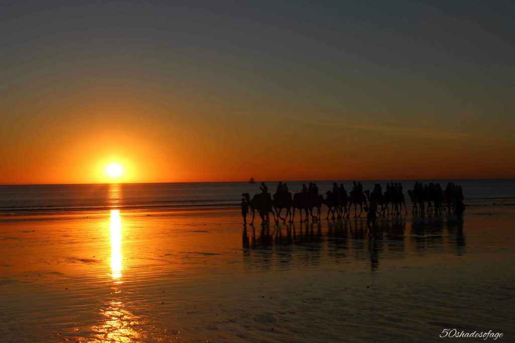 Camels at Sunset on Cable Beach, Broome