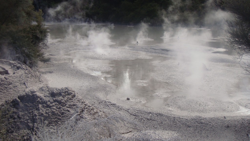 Geothermal Pools at Rotorua