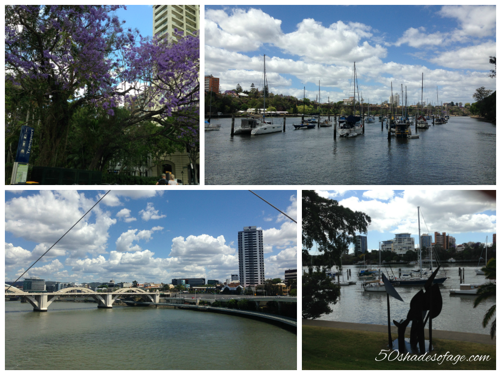 Brisbane River Views