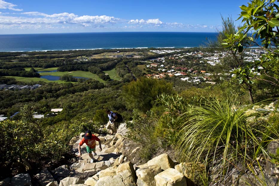 View from Mt Coolum