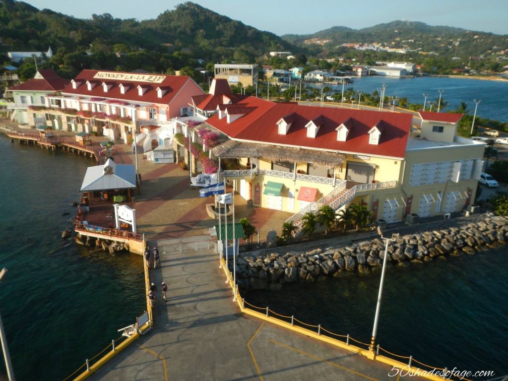 View of Port of Roatan from Ship