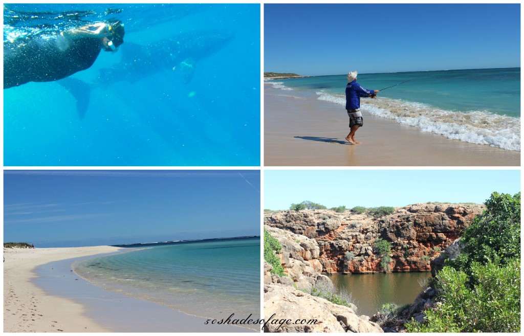 Remarkable Exmouth on the Ningaloo Reef, North West Australia