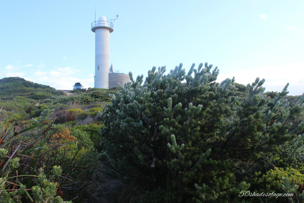Lighthouse & Coastal vegetation of Torndirrup National Park