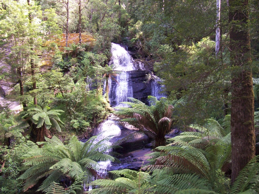 Waterfall in Otway National Park