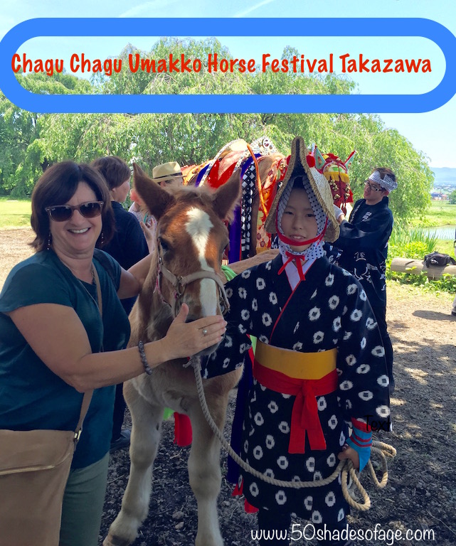 Chagu-Chagu-Umakko-Foal