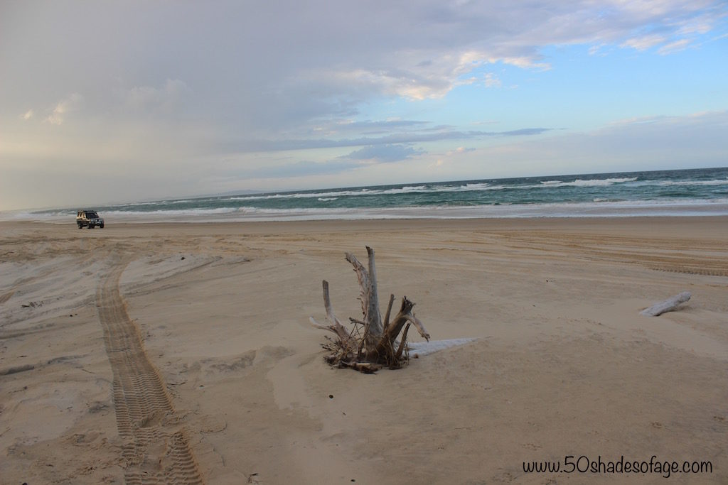 Flinders Beach
