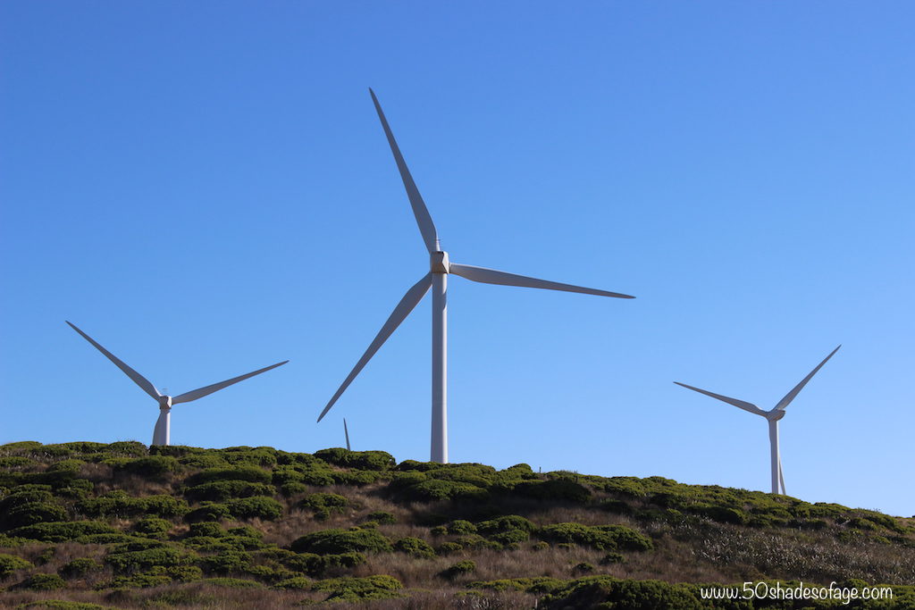 Cape Bridgewater Wind Farm