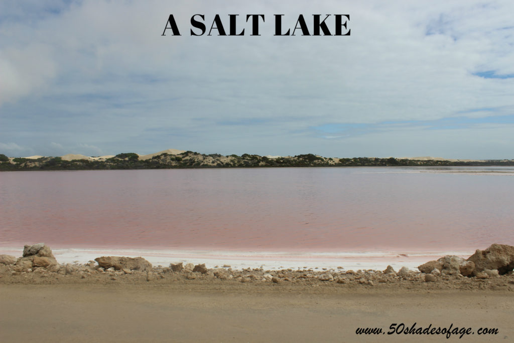 Pink Salt Water in Lake McDonnell SA