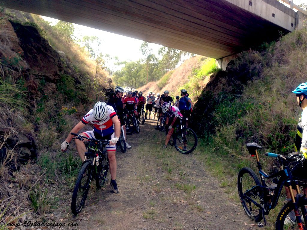 Seeking shade on the Brisbane Valley Rail Trail Bike Ride