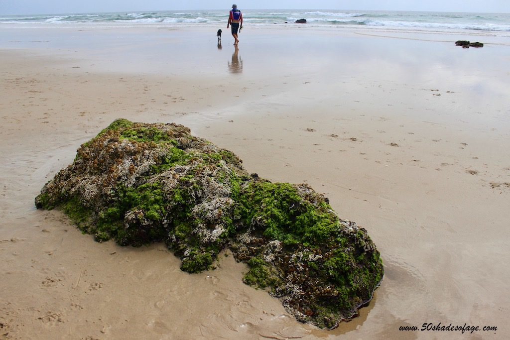 Mossy Rock on Ocean Shores Beach