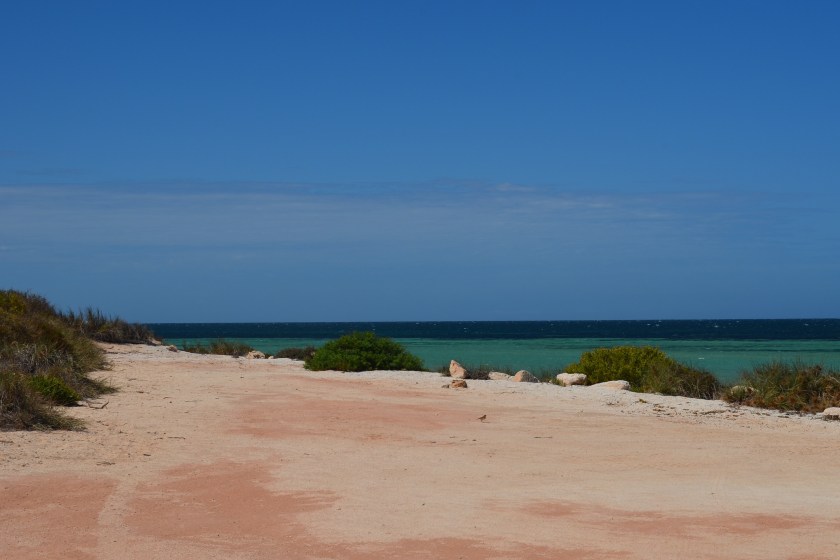 Nanga Bay, Shark Bay