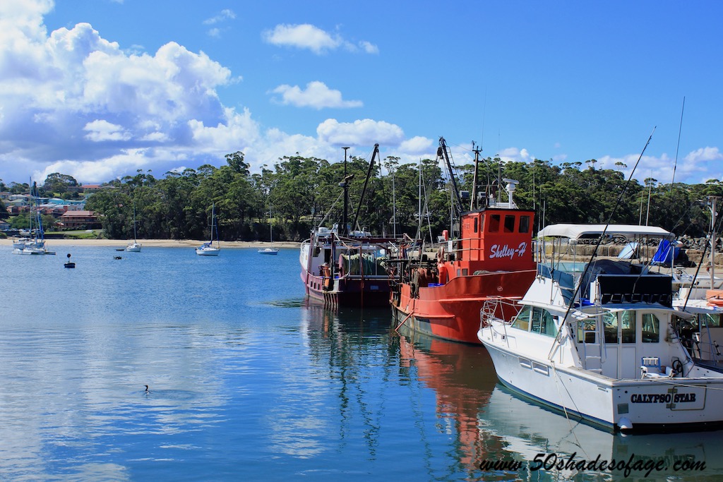 Highlights of the South Coast of New South Wales