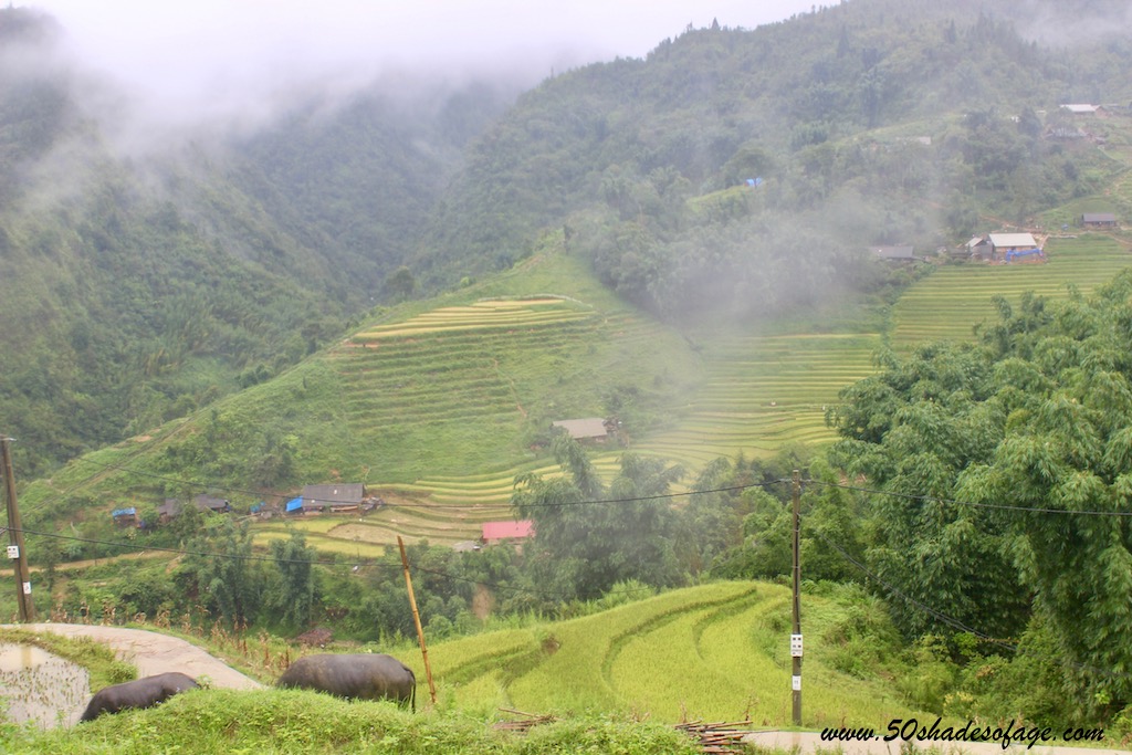 Trekking into the Mystical Clouds of Sapa