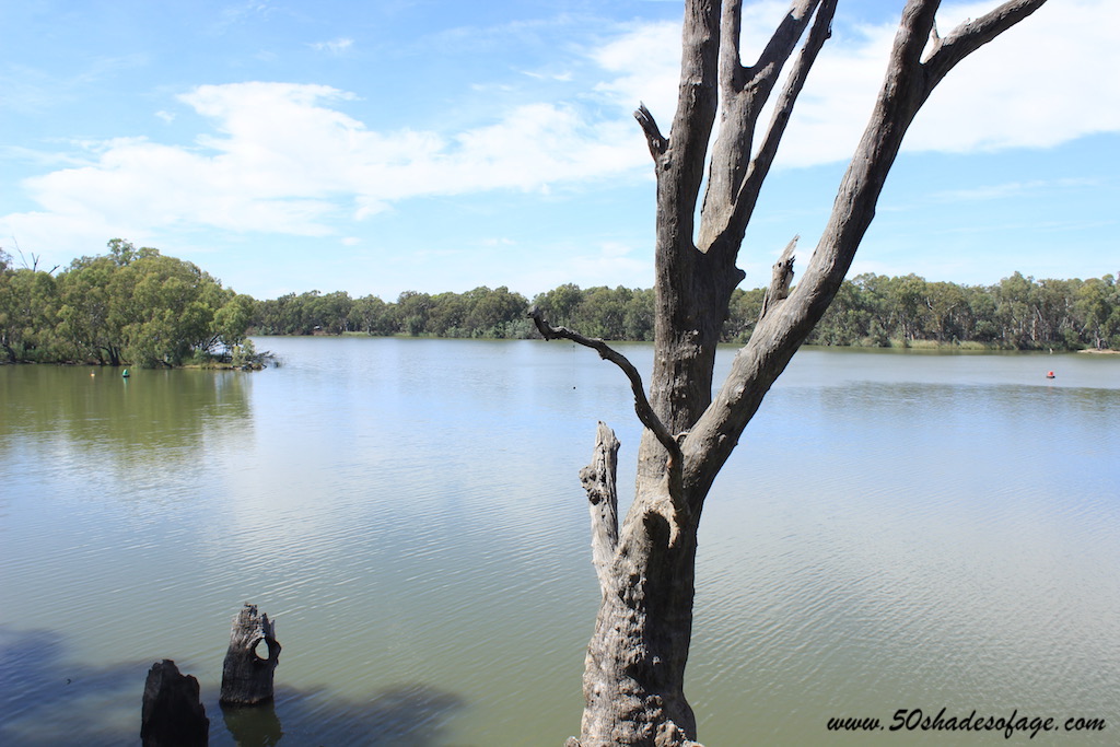 Tracing The Murray River: The Sunraysia