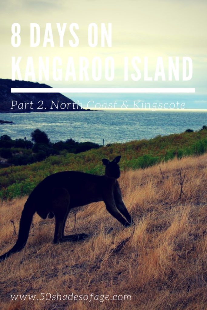 8 Days on Kangaroo Island: Part 2.
