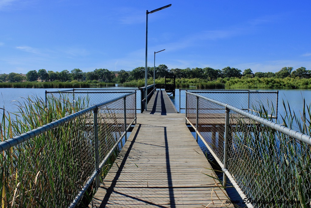 Tracing The Murray River from Swan Reach to Goolwa