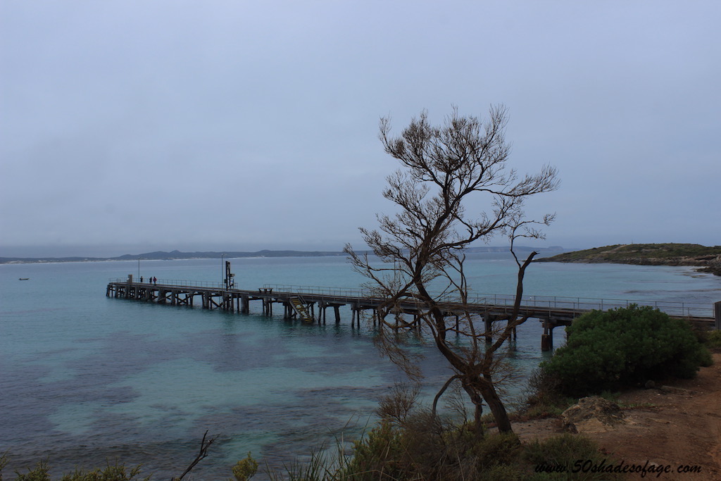 8 Days on Kangaroo Island: Part 1