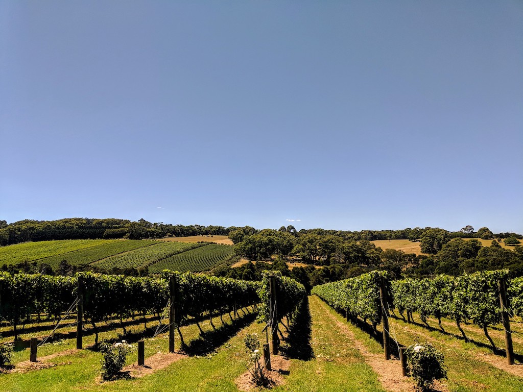Best Wine Regions of Australia