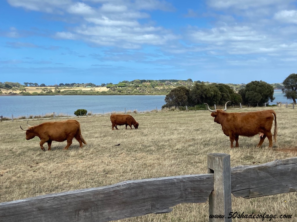 How to Spend a Long Weekend on Phillip Island
