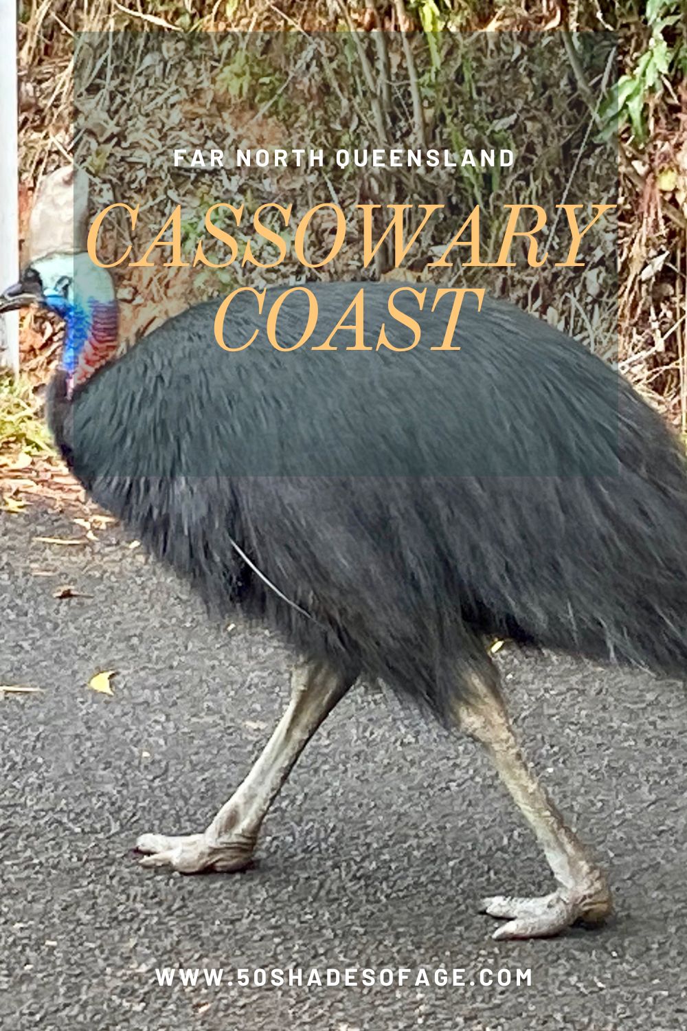 Far North Queensland – Cassowary Coast