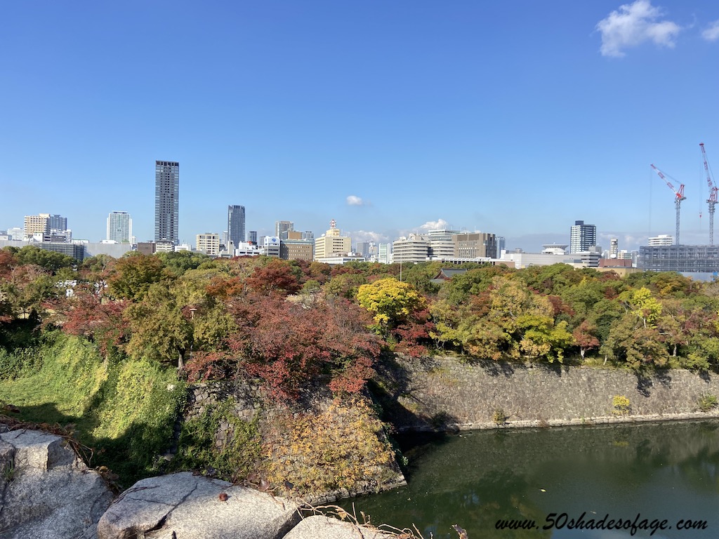 Autumn Colours of Japan